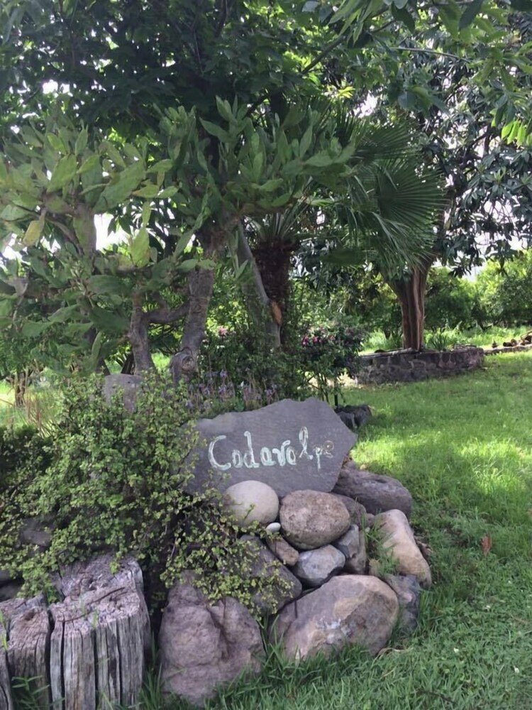 Agroturismo Codavolpe Giardino Di Tea