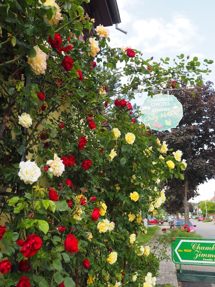 Bed & Breakfast Chambres Chez Mado Alsace