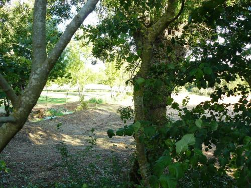 Hostal Les Pl�nitudes Du Rivage