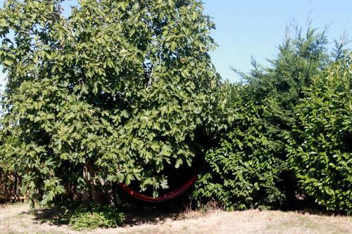 Bed & Breakfast Aux Bois Flott�s