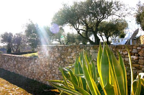 Hostal La Buissonniere & Brasserie