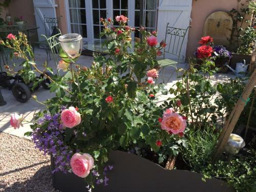 Bed & Breakfast La Villa Rosalie