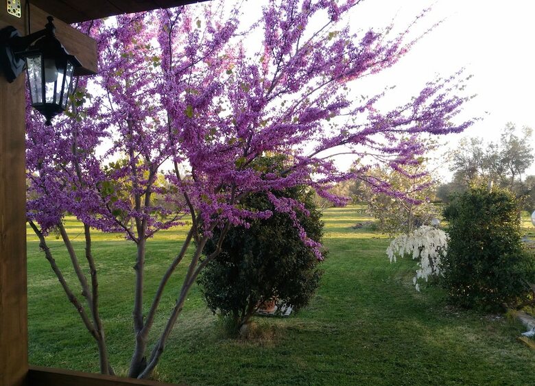 Agroturismo Agriturismo San Matteo