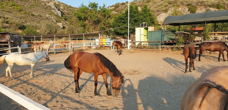 Patara Caretta Hotel