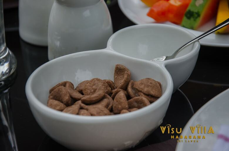 Hotel Visu Villa