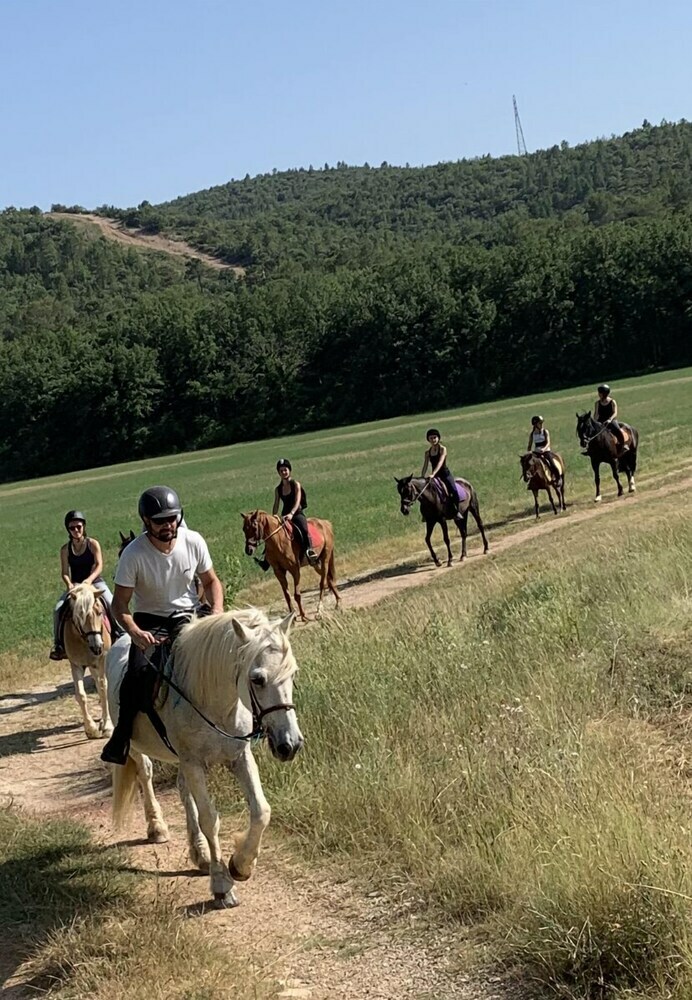 Les Ecuries Du Mas Di Gau