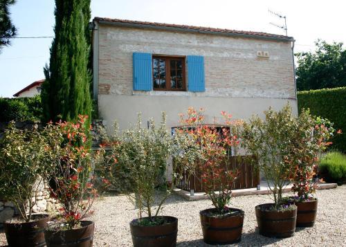 Bed & Breakfast Chambre D'h�tes De La Grappe D'or