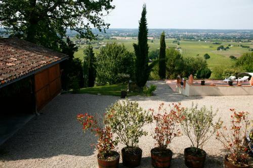 Bed & Breakfast Chambre D'h�tes De La Grappe D'or