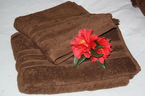 Bed & Breakfast La Champreni�re