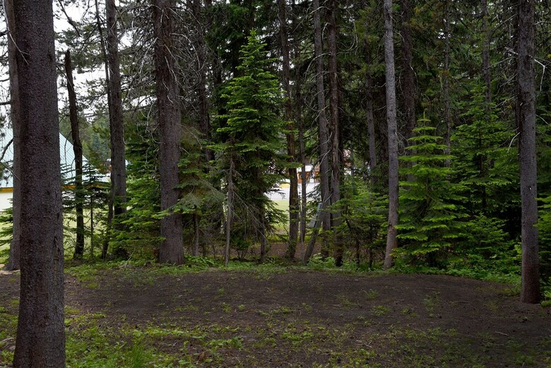 Bed & Breakfast Tamarack 3 Bears Inn