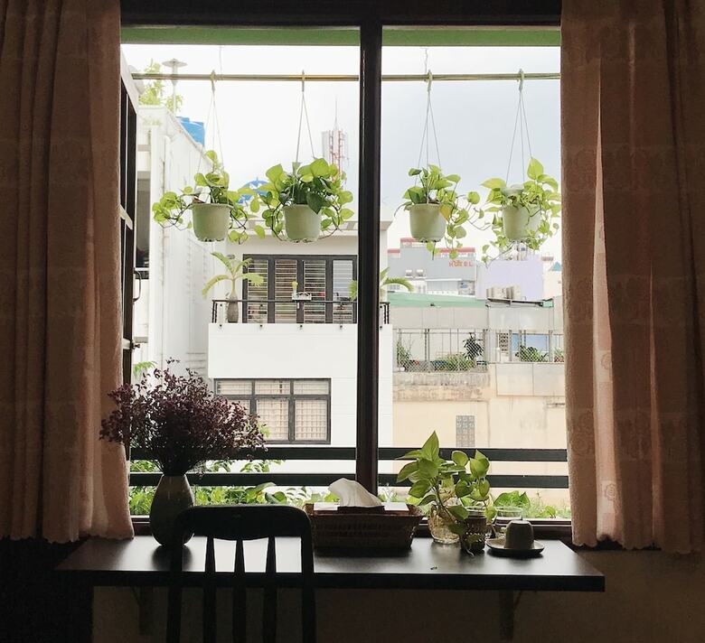 Hotel The Downtown Homestay