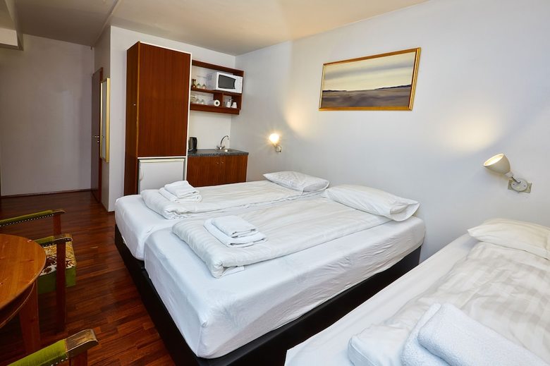 Reykjav�k Downtown Hotel