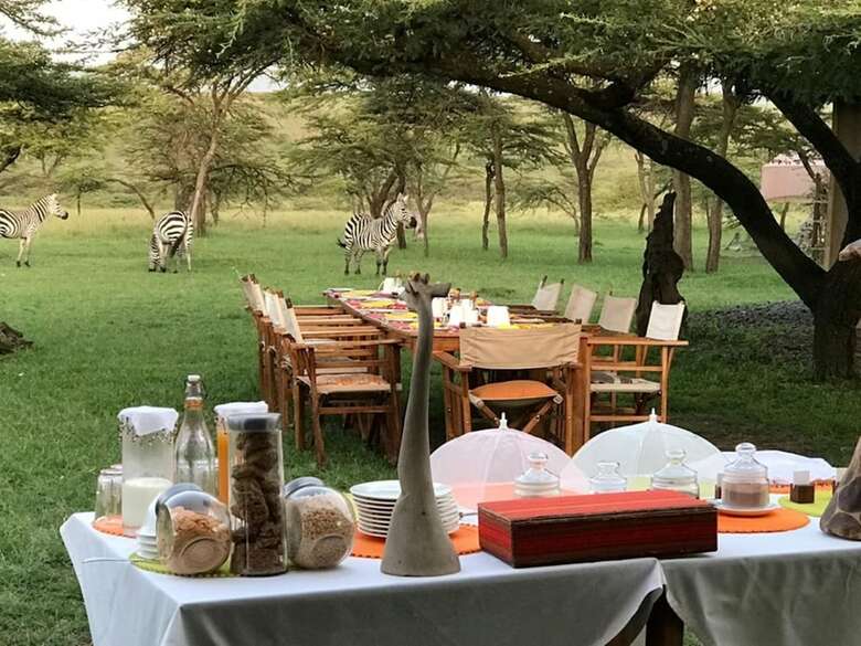 Kandili Camps