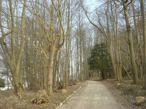 Bed & Breakfast Ch�teau Du Jard