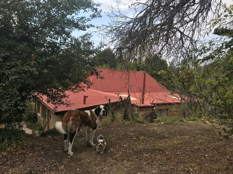 Berg Cottage