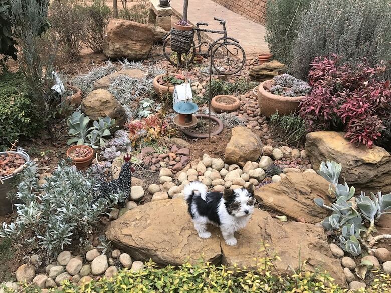 Clarens Butterfly  Beds Villa