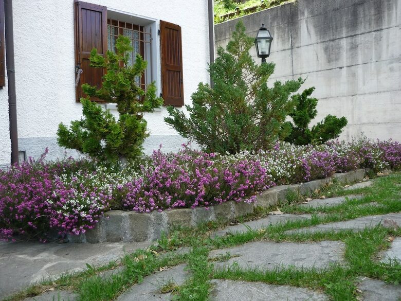 Hotel Rent A Room Da Viviana