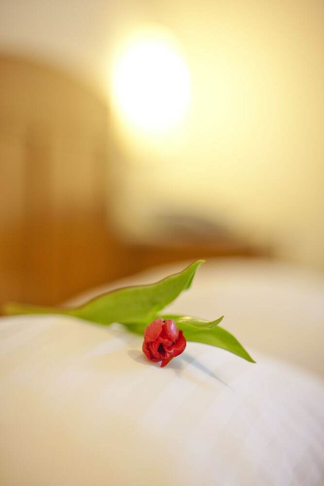 Hotel Elefant