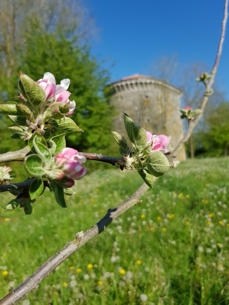 Bocage Belle Histoire