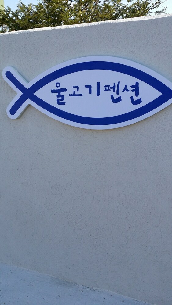 Jeju Fish Pension