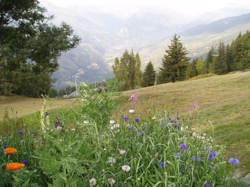 Chalet Les Gentianes