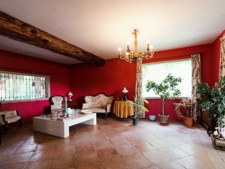 Apartamento Donkeys And Roses