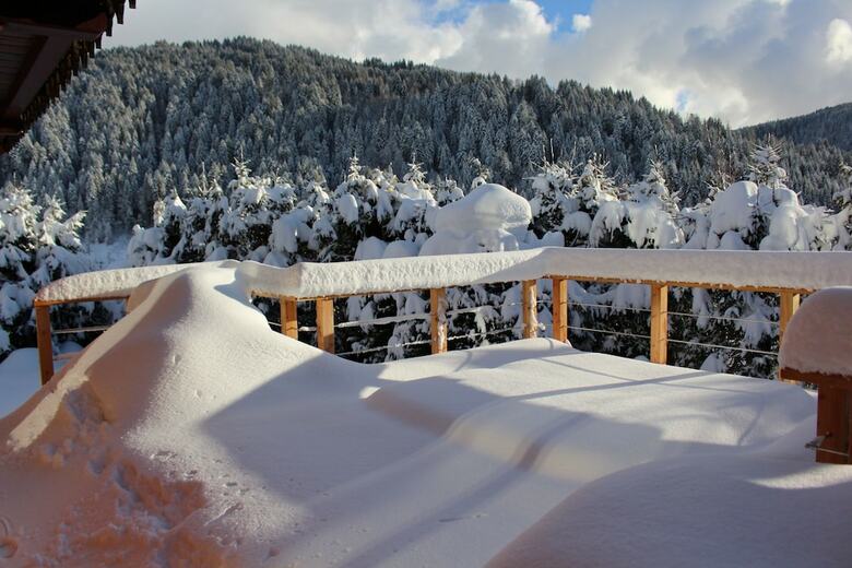 Chalet L'edelweiss