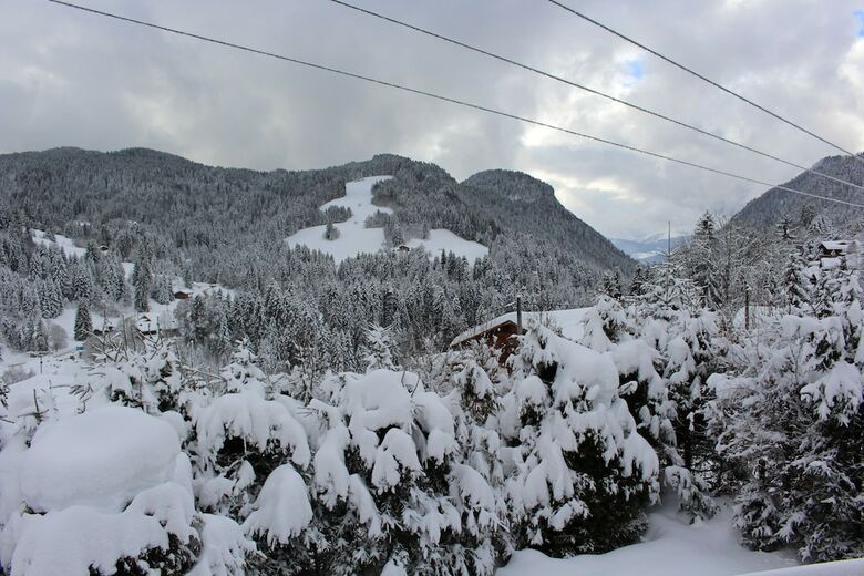 Chalet L'edelweiss
