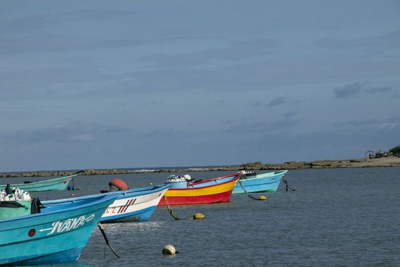 Hotel Villas Cabuya Beach & Forest