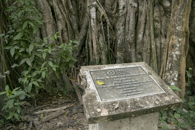 Hotel Villas Cabuya Beach & Forest