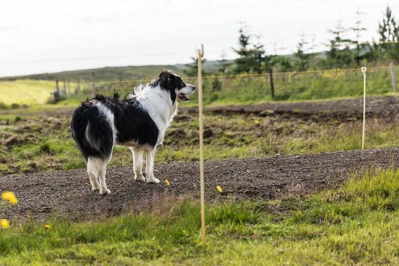 Hotel Klara's Farm Holidays