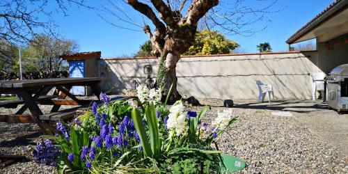 Bed & Breakfast Douce France