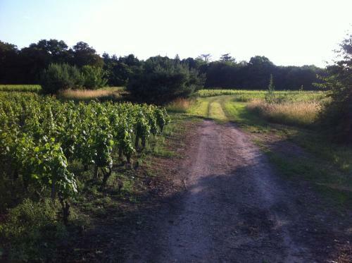Domaine Du Mont Des Ch�nes