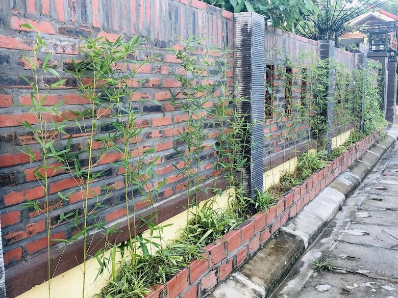 Hotel Co To Center Homestay
