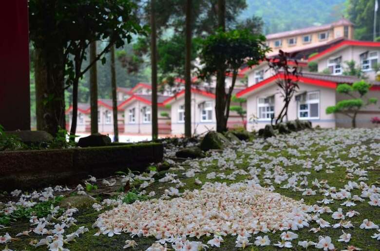 Bed & Breakfast Chun Gu Farm