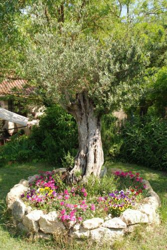 Bed & Breakfast Domaine A L'aise