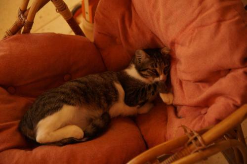 Bed & Breakfast Le Grand No�