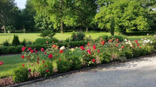 Bed & Breakfast Maison D'h�tes Les Bruhasses
