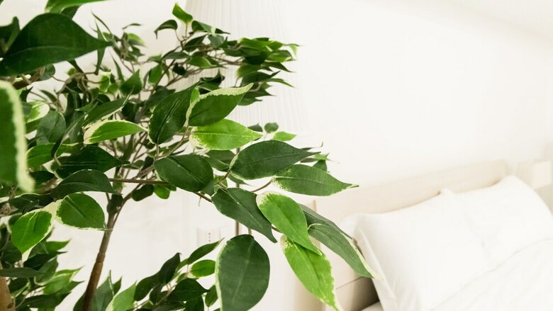 Apartamento Italianway - Pellizzone 2a