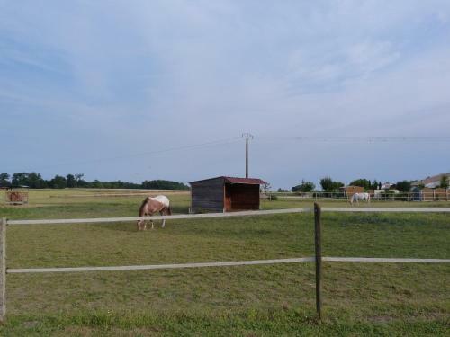 Bed & Breakfast Chambre D'h�tes Les 3 Moulins