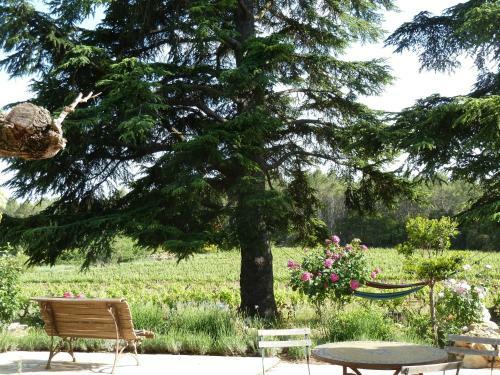 Bed & Breakfast Les Vignes De Terrisse