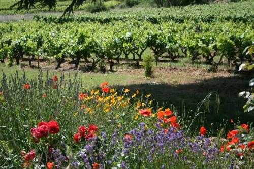 Bed & Breakfast Les Vignes De Terrisse