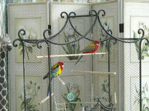 Bed & Breakfast Chambre D'h�tes La Grand' Maison