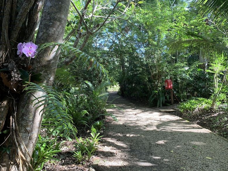 Posada Cedar Park Rainforest Resort