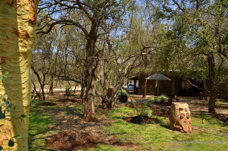 Posada Phumula Kruger Lodge