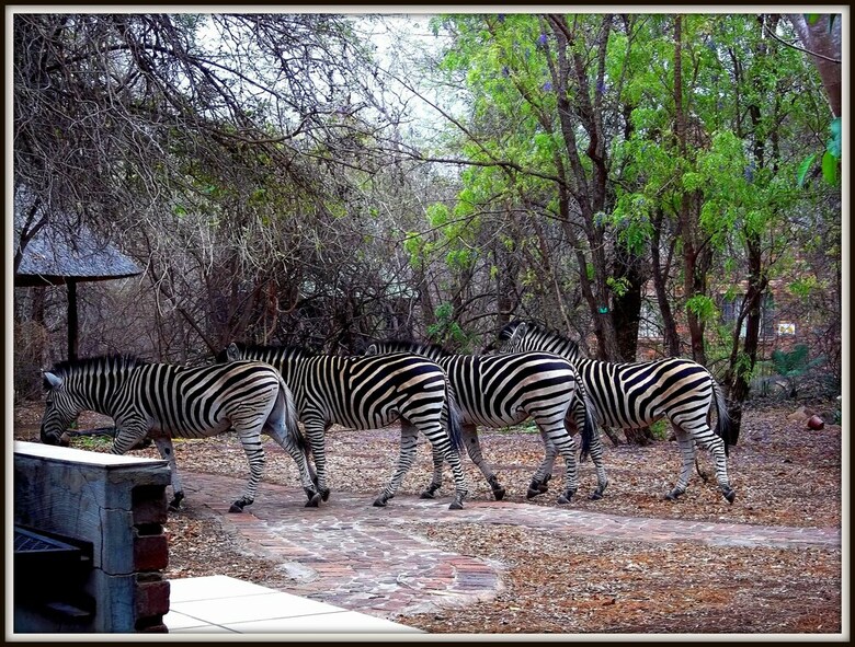 Posada Phumula Kruger Lodge