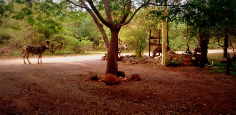 Posada Phumula Kruger Lodge