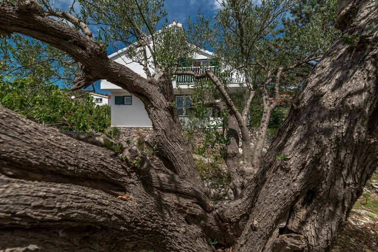 Casa Verde Apartment House