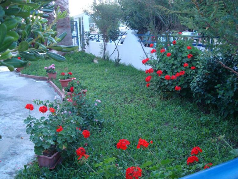 Apartamentos Philippos Studios