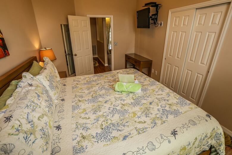 244 Flamingo